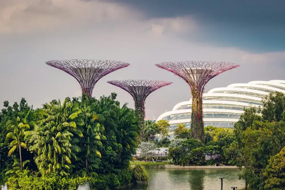 Gardens by the Bay Supertrees, Singapore