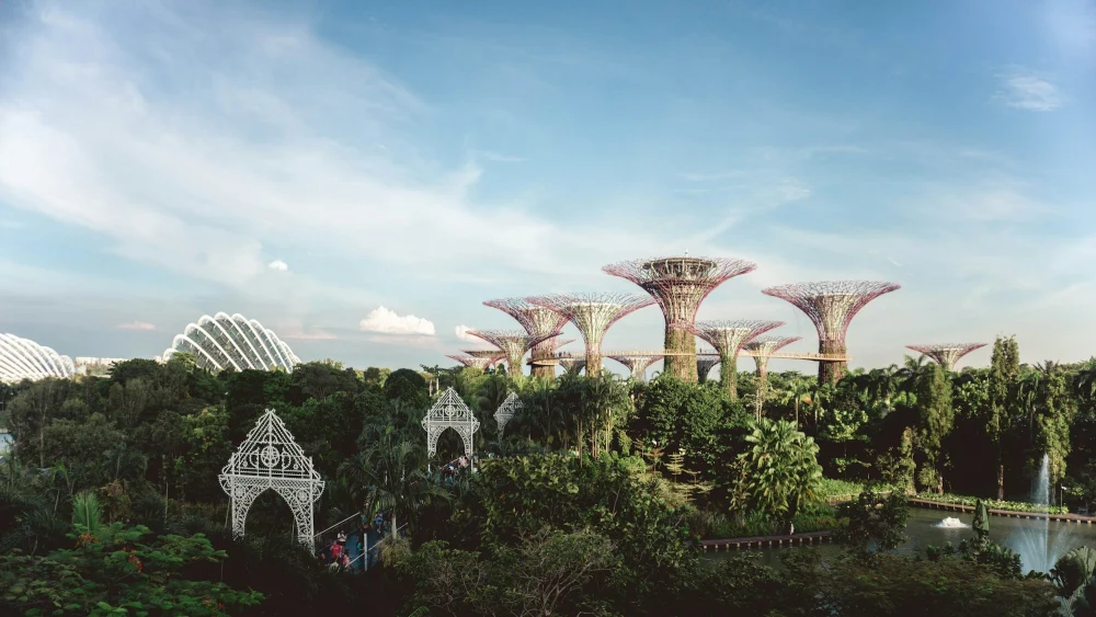 Greenery at Gardens by the Bay, Singapore